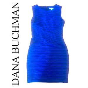 DANA BUCHMAN blue striped wrap career dress size 10 NWOT